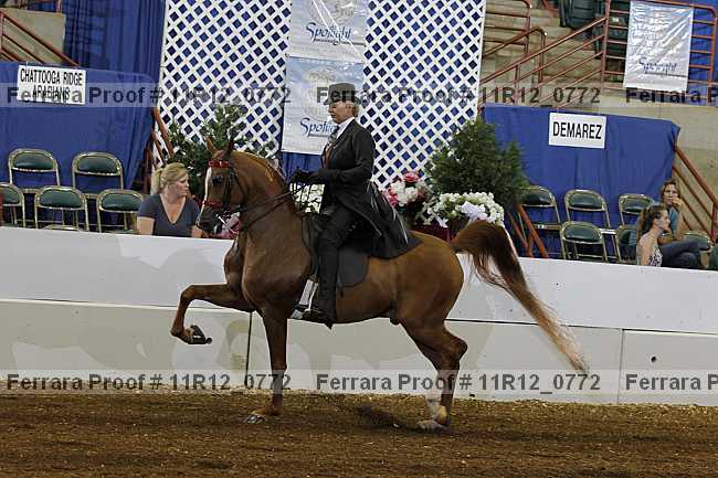 Proof 11r12_0772
