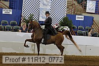 11r12_0772 proof