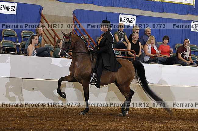 Proof 11r12_0773