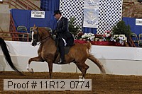 11r12_0774 proof