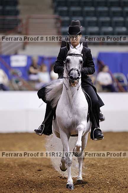 Proof 11r12_0778