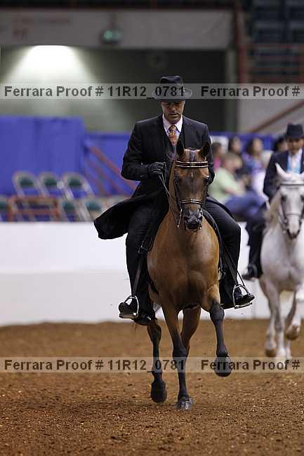 Proof 11r12_0781