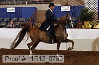 11r12_0782 proof