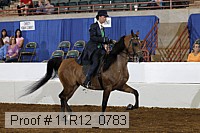 11r12_0783 proof