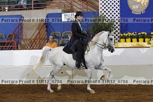 Proof 11r12_0784