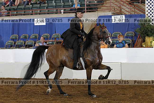 Proof 11r12_0785