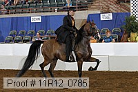 11r12_0785 proof