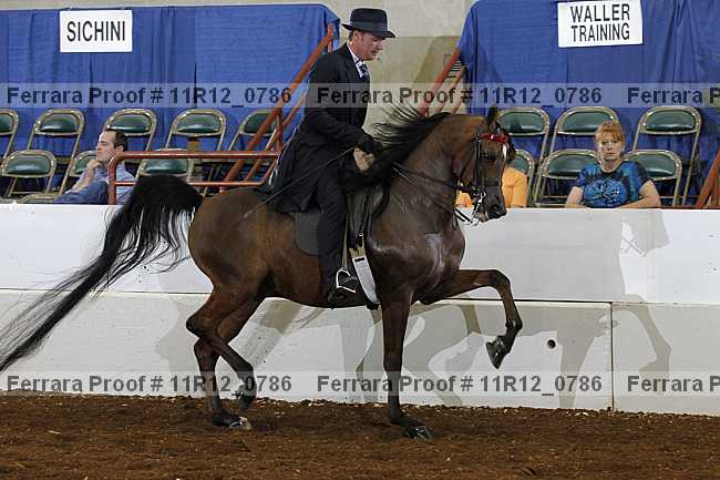 Proof 11r12_0786