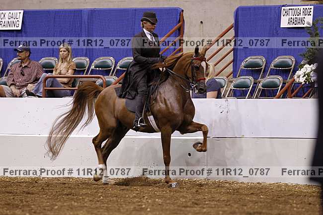 Proof 11r12_0787