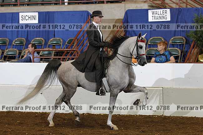 Proof 11r12_0788
