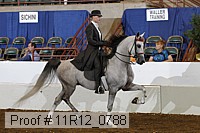 11r12_0788 proof