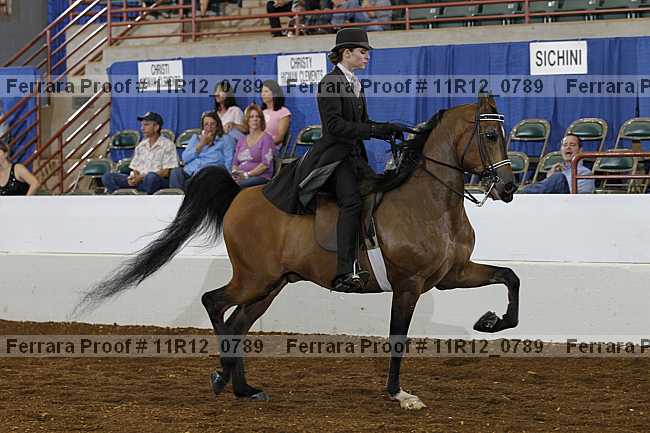 Proof 11r12_0789
