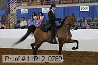 11r12_0789 proof