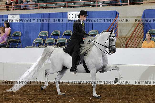 Proof 11r12_0790