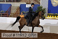 11r12_0791 proof