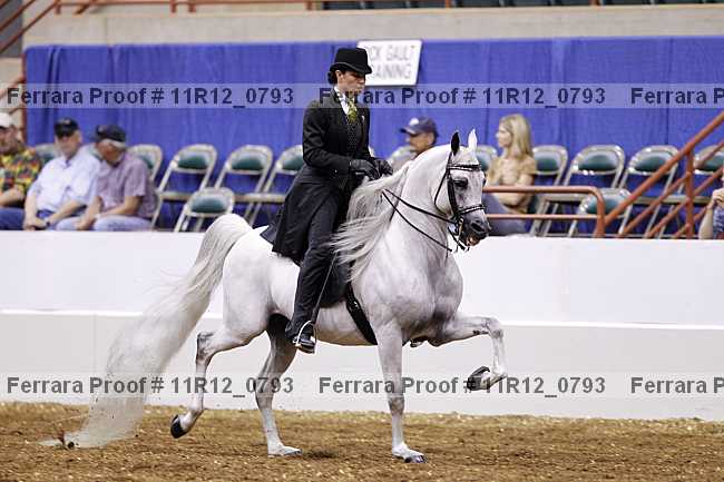 Proof 11r12_0793