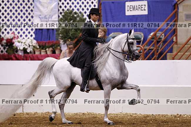 Proof 11r12_0794
