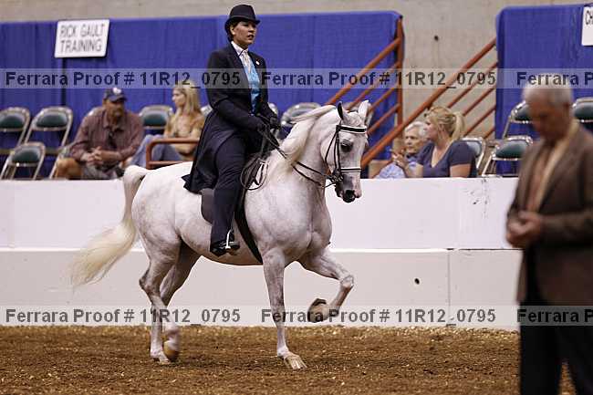Proof 11r12_0795