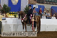 11r12_0797 proof