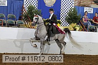 11r12_0802 proof