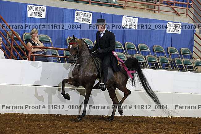 Proof 11r12_0804