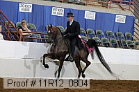 11r12_0804 proof