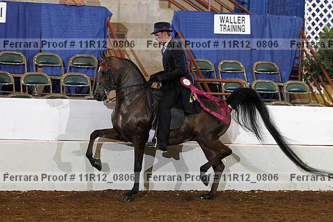 Proof 11r12_0806