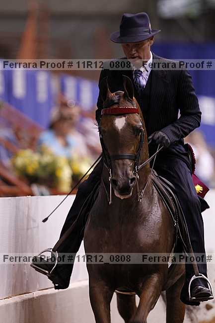 Proof 11r12_0808