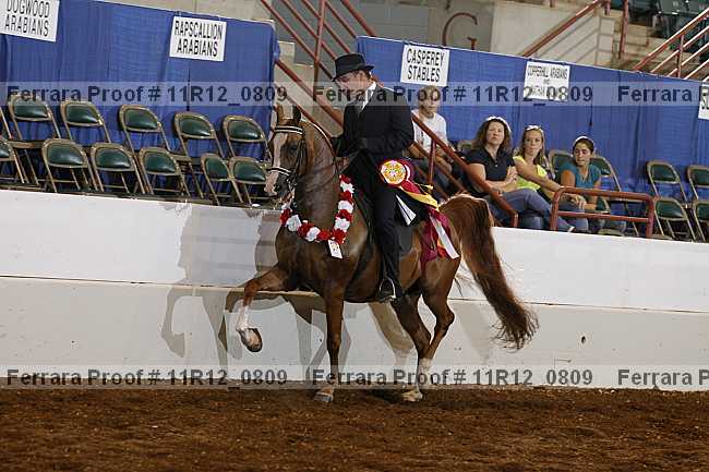 Proof 11r12_0809