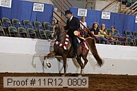 11r12_0809 proof