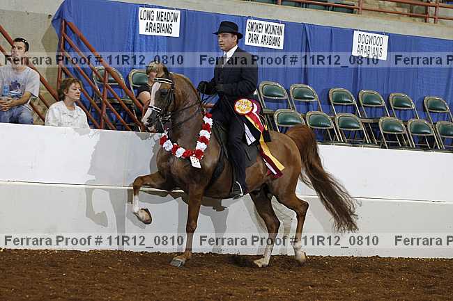 Proof 11r12_0810