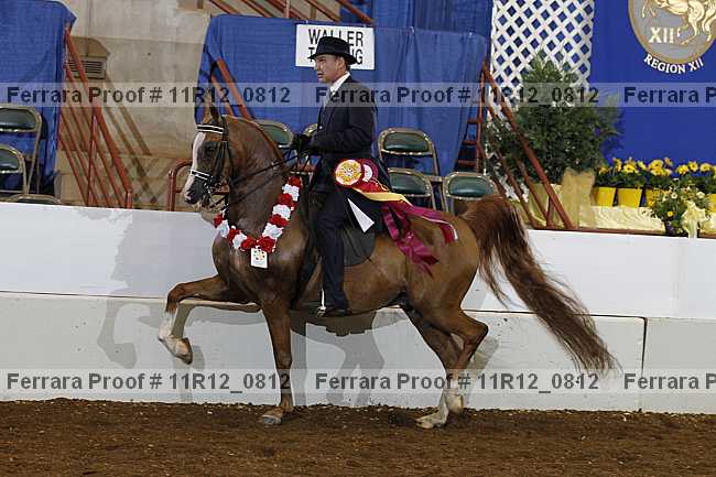 Proof 11r12_0812