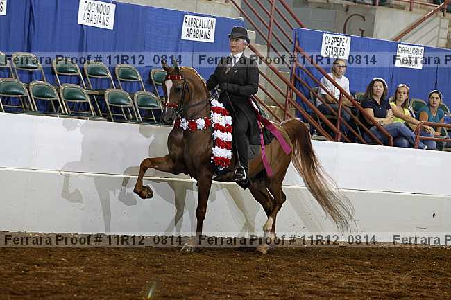 Proof 11r12_0814