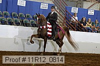 11r12_0814 proof