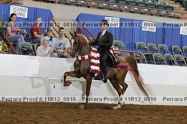 Proof 11r12_0816