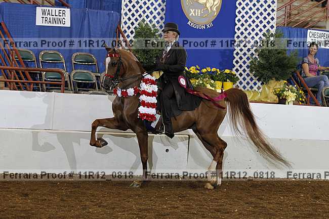 Proof 11r12_0818
