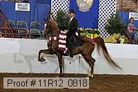11r12_0818 proof