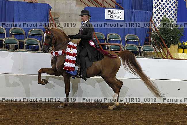 Proof 11r12_0819