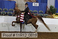 11r12_0819 proof