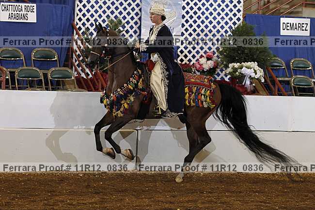 Proof 11r12_0836