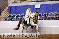 11r12_0851 proof