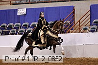 11r12_0852 proof