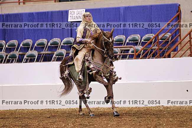 Proof 11r12_0854
