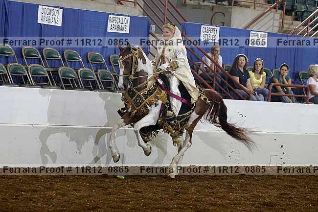 Proof 11r12_0865