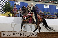 11r12_0875 proof