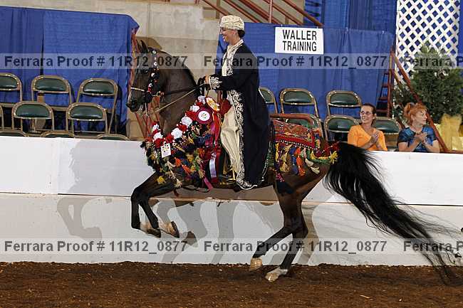 Proof 11r12_0877