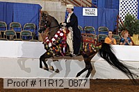11r12_0877 proof