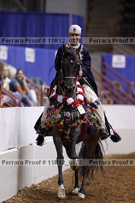 Proof 11r12_0878