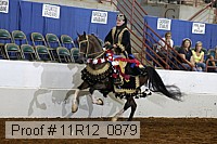 11r12_0879 proof