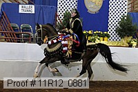 11r12_0881 proof